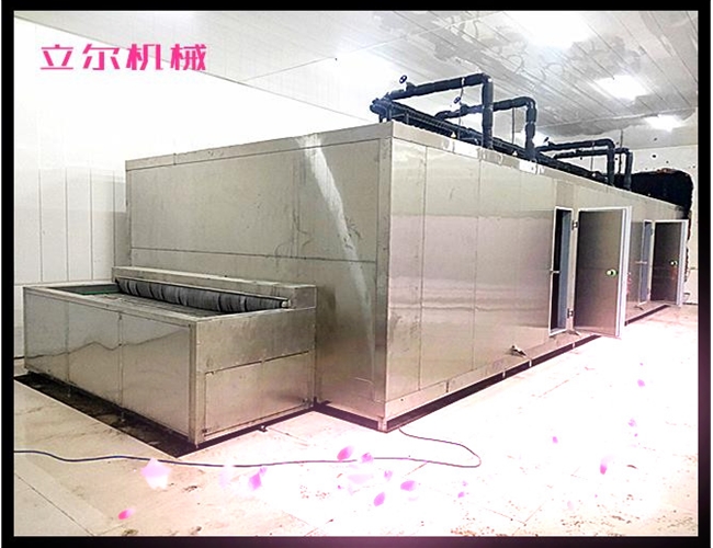 隧道式速凍機(jī) 面點(diǎn)速凍